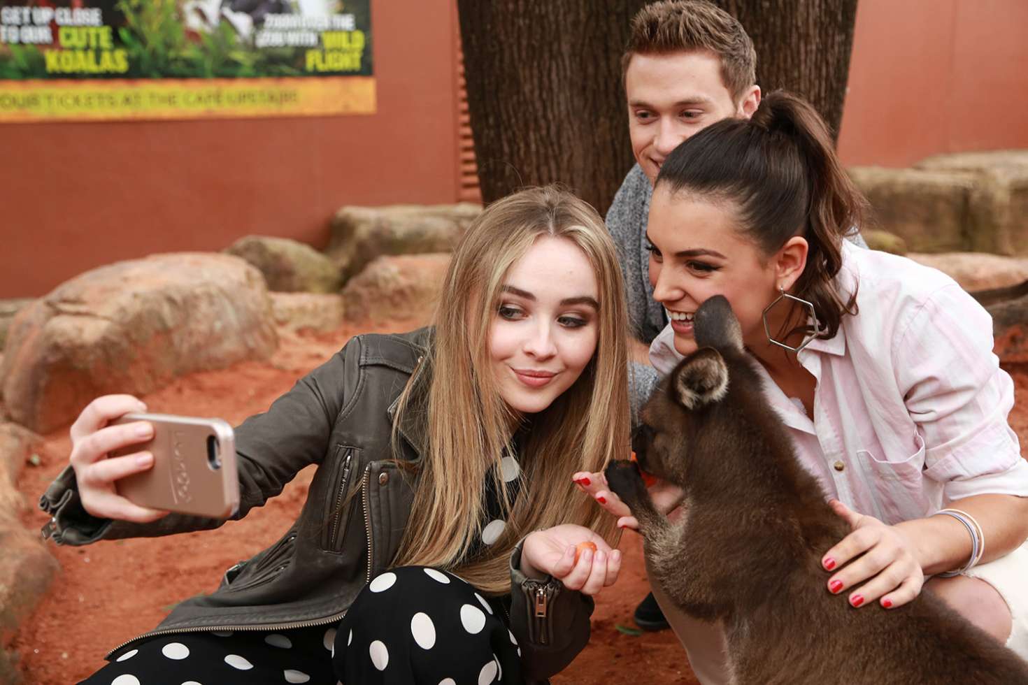 photo 21 in Sabrina Carpenter gallery [id921331] 2017-04-05 00:00:00 (1470×980)
